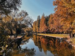 -上海共青森林公园