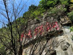 -铁山坪森林公园