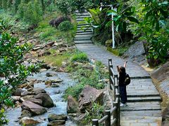 -广州白江湖森林公园