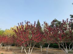 -八宝山(地铁站)
