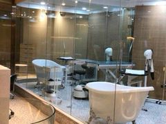 -momokira米努特·德文卷毛猫·棉花面纱犬