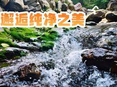 -养马峡