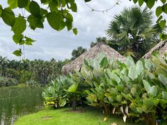 -中国科学院西双版纳热带植物园