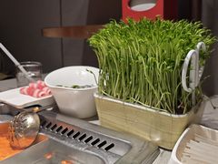 -海底捞火锅(徐州火车站店)