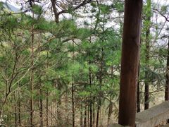 -罗田薄刀峰风景区