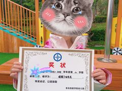 -青岛恒星学院幼儿园