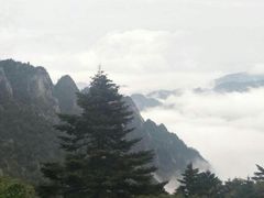 -陕西省红河谷森林公园