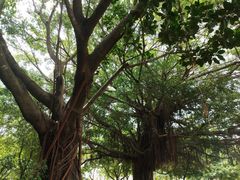 -北京师范大学(珠海校区)