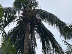 -白沙门生态公园