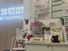 -瑞派·关忠动物医院·猫专科·犬专科(三环新城店)