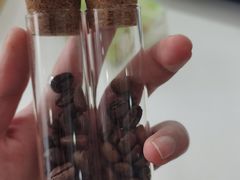 -PCA专业咖啡技能训练营(西南重庆总部)