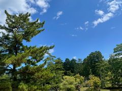 -奈良公园