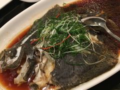 清蒸多宝鱼-新南华大酒店(长寿店)