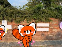 -济州森林小火车生态公园