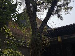 -湘子庙