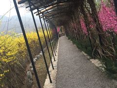 -瓦厂酒店
