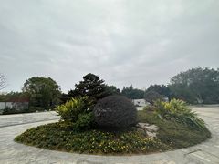-三垟湿地
