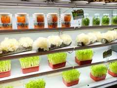 -番食园鲜食火锅(高新店)