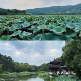 杭州旅游探店｜超平价西湖边上的杭帮菜饭馆[糖果]