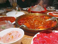 -二荆条·城市森林火锅旗舰店