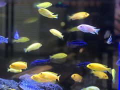 -黄鱼炙夜·烧烤·小龙虾(世茂缤谷店)