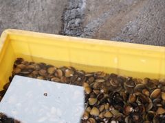 -红旗山庄(圭峰山店)