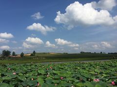 -鴜鹭湖生态旅游度假区