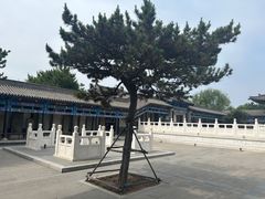 -舍利塔滩地公园-无垢净光舍利塔