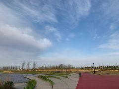 -春花秋色城市公园