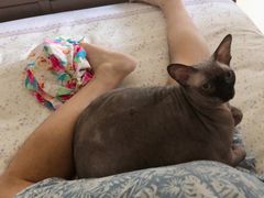 -星巴克(太原茂业天地店)