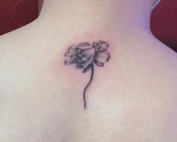 -见雾TATTOO STUDIO