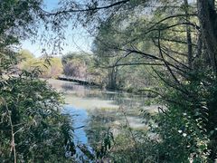 -洮儿河国家湿地公园