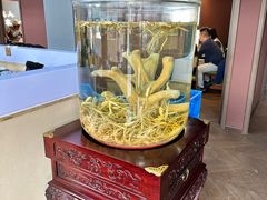 -巧婆婆特色东北菜·铁锅炖