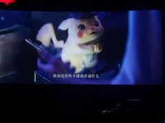 -枫花园汽车电影院(朝阳公园店)