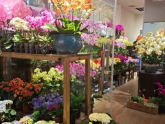 -双季花艺园艺市场(浦东店)