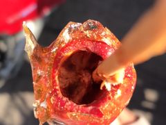 -和禄德冰糖葫芦