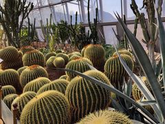 -北京植物园-展览温室