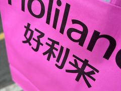 -Holiland好利来(望京新世界店)