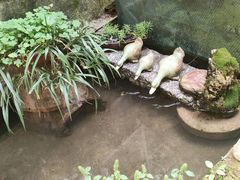 -宅里香.自然餐厅(湘大店)