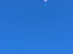 -春花秋色城市公园