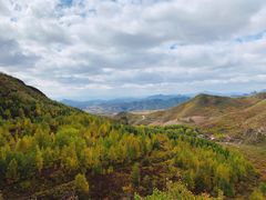 -塞罕坝国家级自然保护区