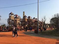 -枫香湖儿童公园