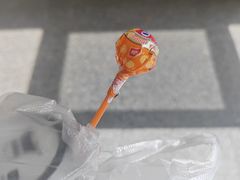 -萌萌牛紫米露(烟台大学店)