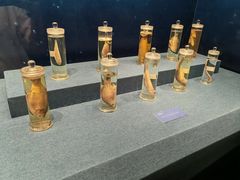 -上海中国航海博物馆