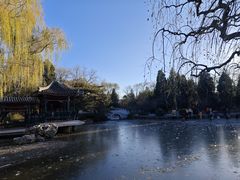 -宣武艺园