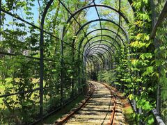 -恒大世纪梦幻城