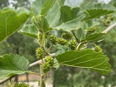 -潭柘厚院(桑峪村店)