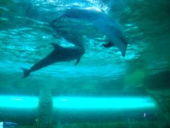 -波塞冬旅游度假区