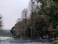 -白云湖畔酒店-湖畔餐厅