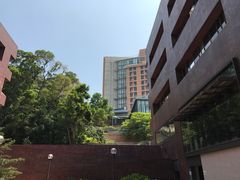-香港大学
